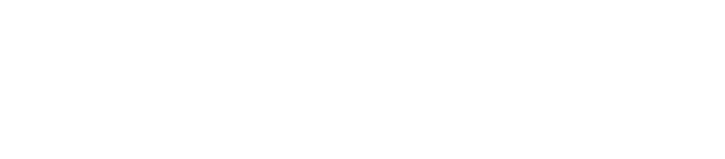 Wnos Logo Weiss