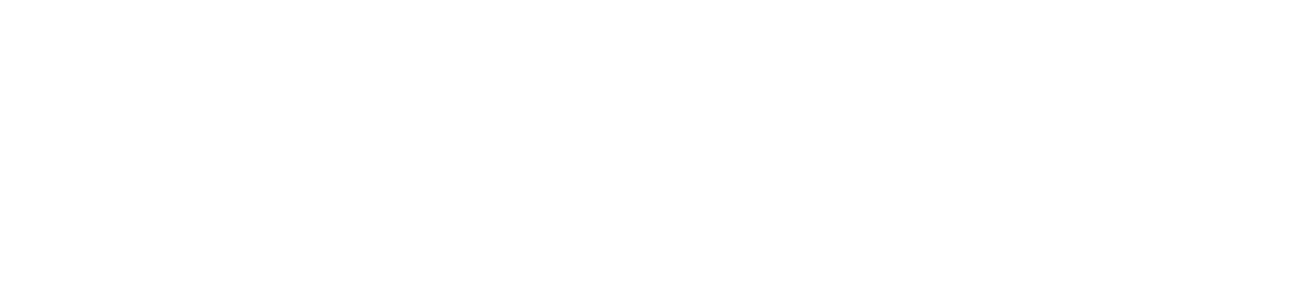 Wnos Logo Weiss