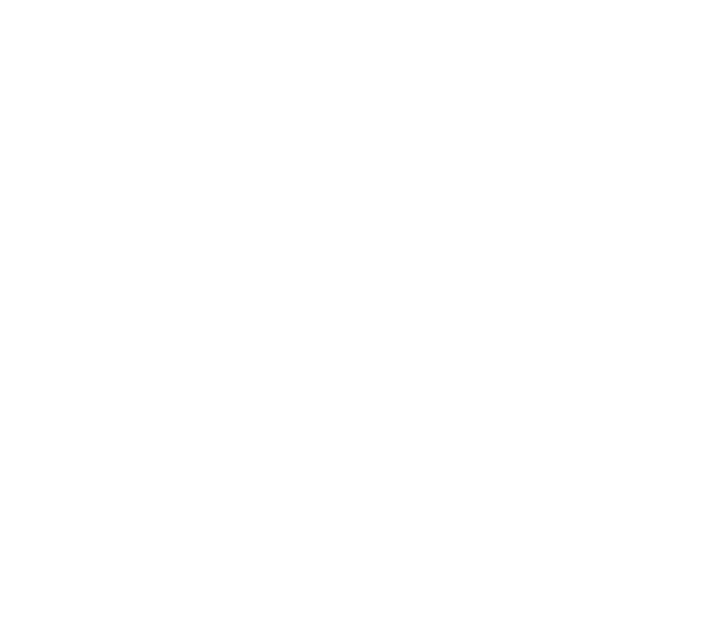 Bafha Logo Weiß